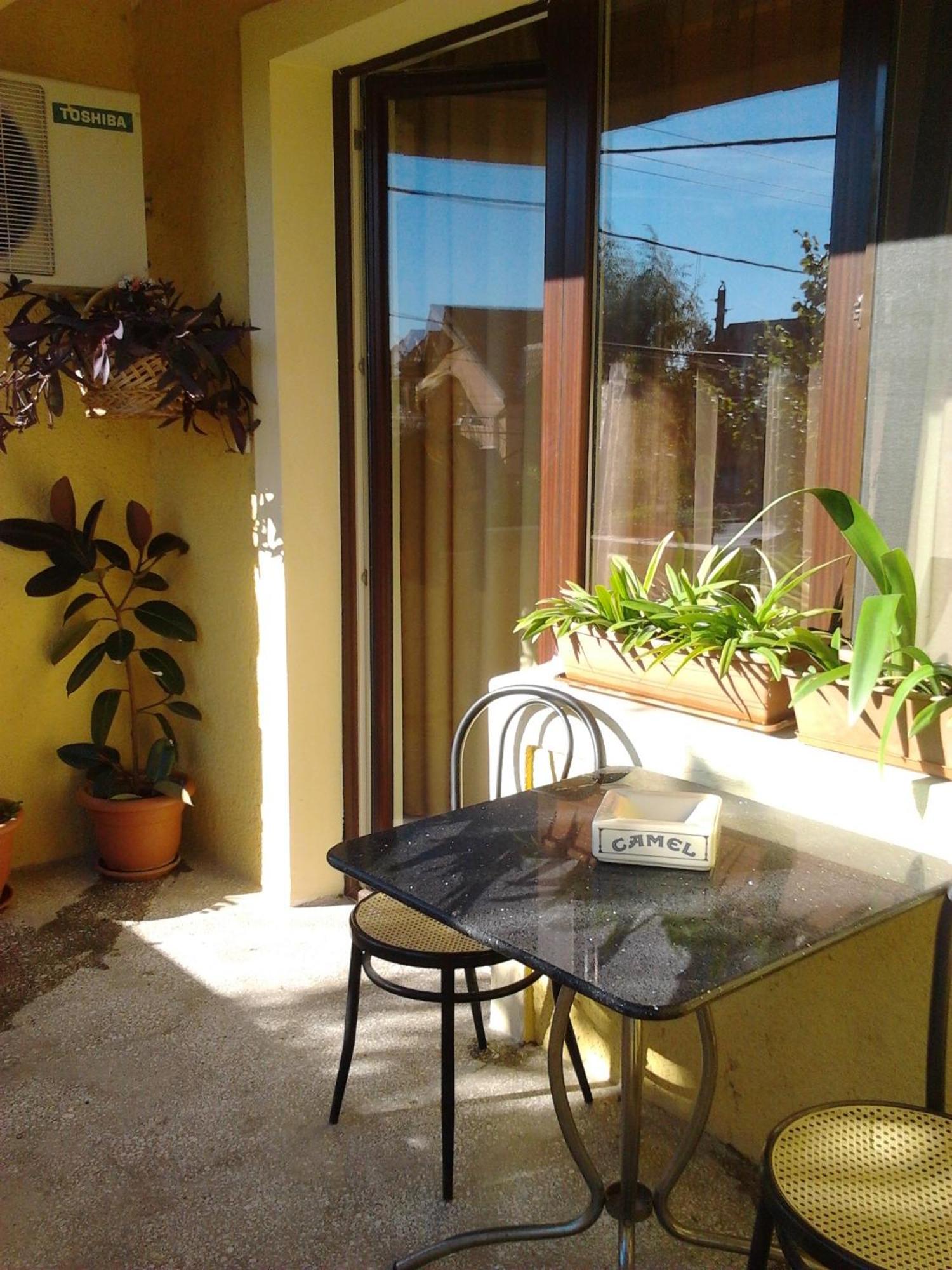Pensiunea Sydney Timisoara Exterior photo