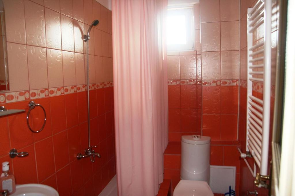 Pensiunea Sydney Timisoara Room photo